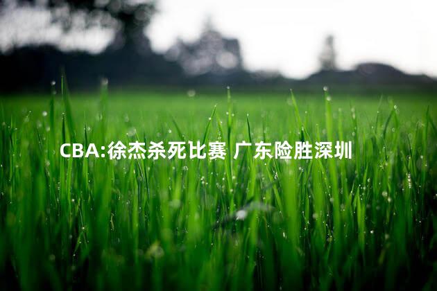 CBA:徐杰杀死比赛 广东险胜深圳